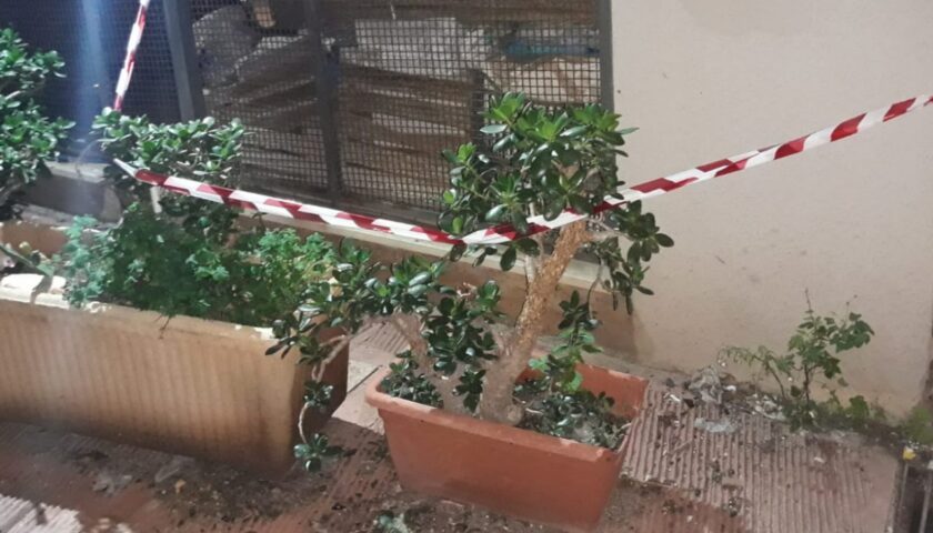 Ancora animali avvelenati a Battipaglia: morti due cani in via Domodossola