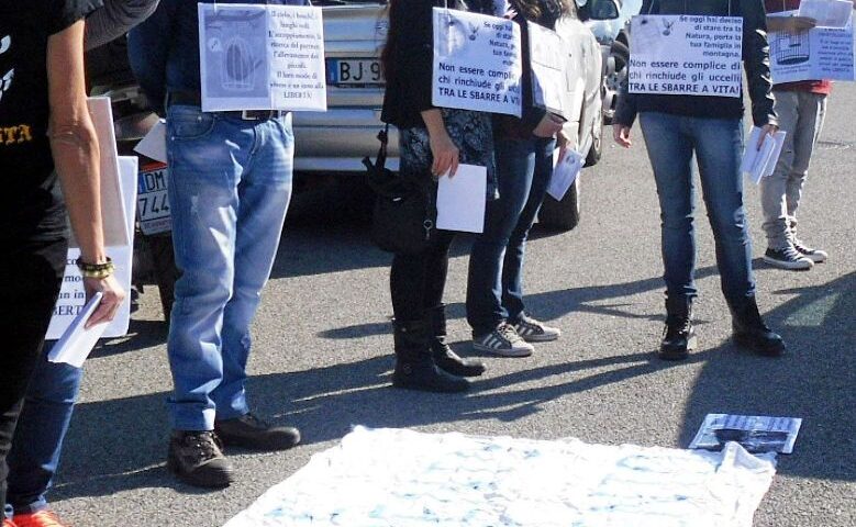 I Veg in Campania: “Ancora utilizzo di animali al Crocifisso ritrovato”