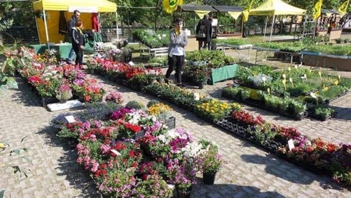 Da domani a lunedì torna “Salerno in Flora”