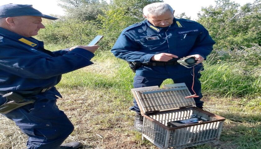 Campagna, operazione anti bracconaggio: nuovi sequestri richiami acustici vietati