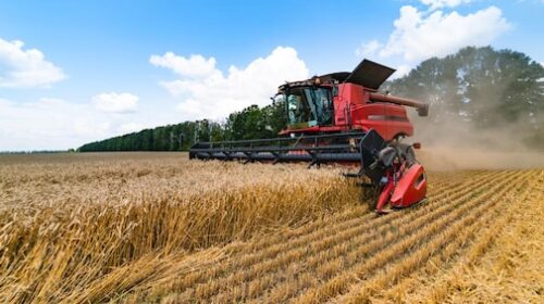 Export di grano ucraino, raggiunto accordo sulle rotte