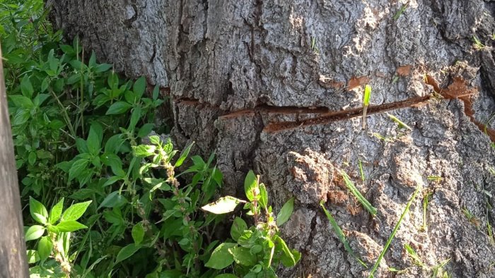 Vandali nel parco del Sarno