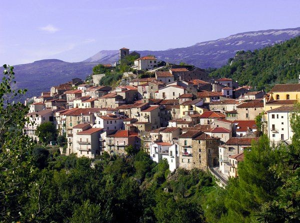 Colpito dal ramo di un albero nei boschi: muore 75enne di Corleto Monforte