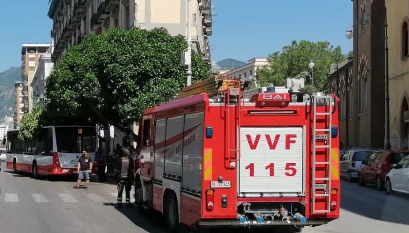 Cade ramo di albero su un bus, paura nei pressi della stazione ferroviaria di Salerno