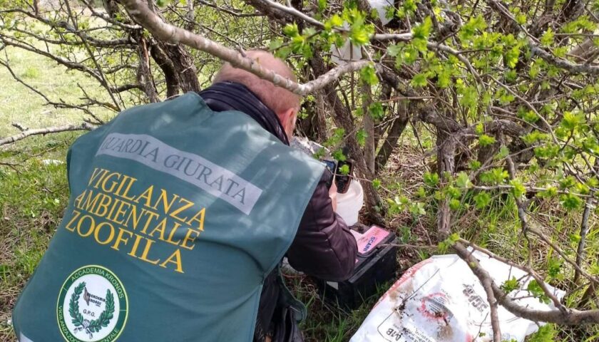 Pellezzano, sequestrato un richiamo acustico