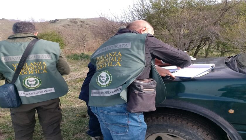 Controlli anti bracconaggio nel Parco dei Picentini,  scoperto taglio abusivo di legna