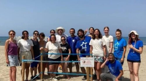 Tartarughe marine: terzo nido in Campania sulla spiaggia di marina di Eboli