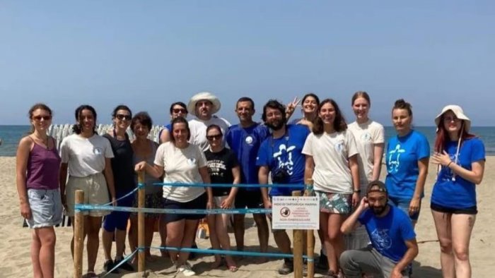 Tartarughe marine: terzo nido in Campania sulla spiaggia di marina di Eboli