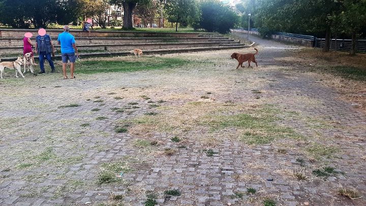 “Parco Pinocchio insicuro e decadente”. Appello di Rino Avella al sindaco