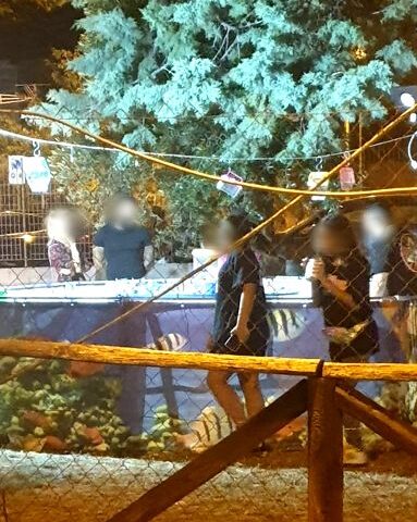 Salerno, il Comitato spontaneo Uniti per Chicca contesta il maltrattamento animali alla sagra di Rufoli