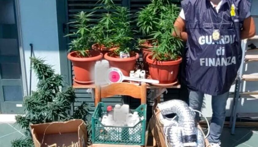 Coltivava la marijuana in camera da letto: nei guai 44enne a Baronissi