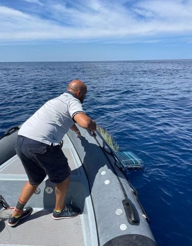 Palinuro, attrezzi da pesca illegali. Sequestrati due Fad