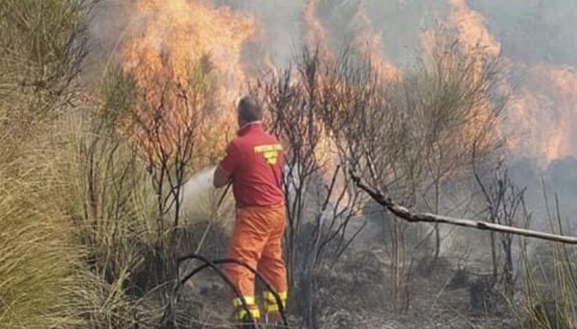 Incendio a Torre Orsaia a ridosso di un villaggio