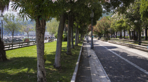 SALERNO, 50 CESTINI SUL LUNGOMARE TRIESTE