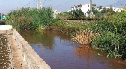 Scafati, sversamenti illeciti nel canale: denuncia di Borrelli