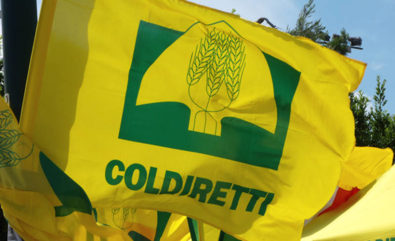 Bando per giovani agricoltori: Coldiretti Campania chiede sforzo maggiore a Regione