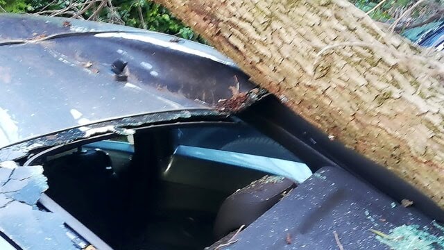 Salerno, albero finisce su auto al Parco Arbostella: danni ma nessun ferito