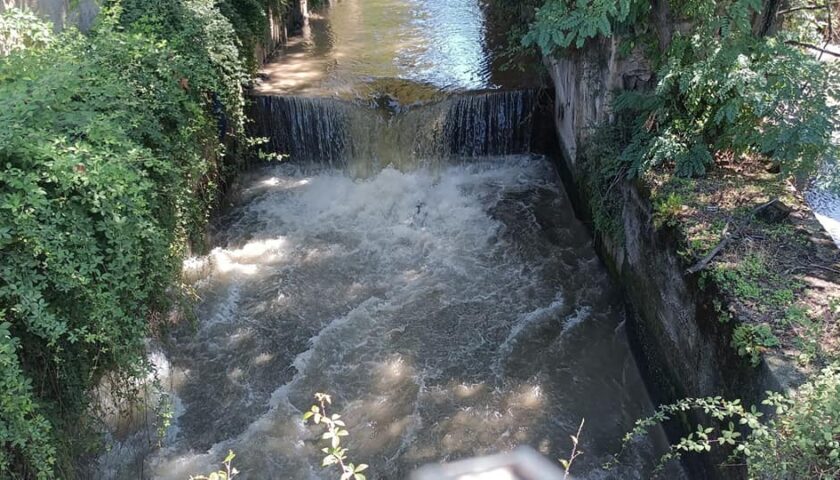 A Nocera Inferiore recuperata carcassa di vitello nel fiume in zona Pucci