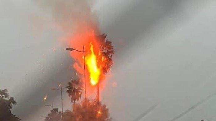 Salerno, a fuoco una palma colpita da un fulmine sul lungomare