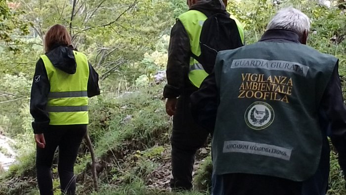 Monti Picentini e Piana del Sele, controlli anti bracconaggio: raffica di multe