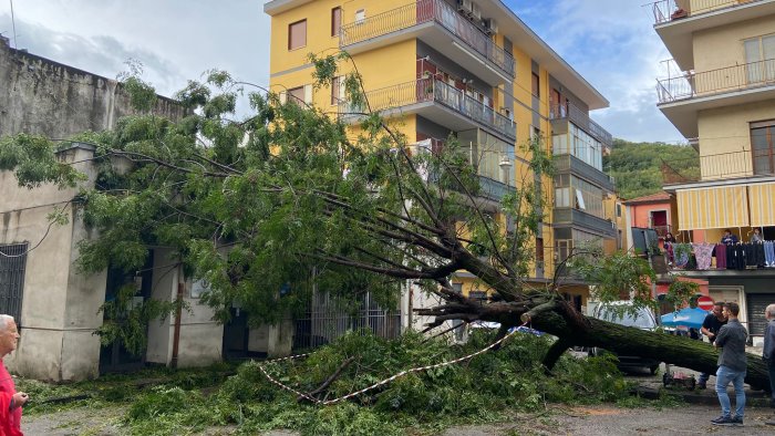 Maltempo, paura nella notte a Fratte: cade grosso albero