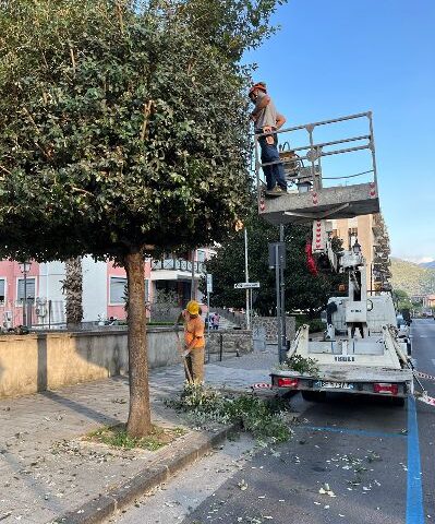 DECORO URBANO, CUOFANO VARA IL PIANO POTATURE E CURA DEL VERDE PUBBLICO