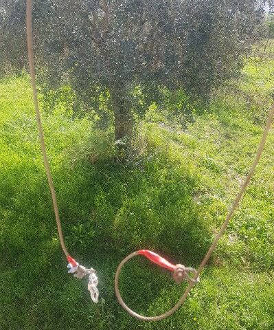 ANTIBRACCONAGGIO A CAMPAGNA SEQUESTRATO UN LACCIO PER LA CATTURA