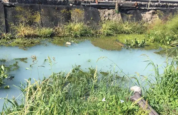 Inquinamento del fiume Sarno, Legambiente: “Individuare le origini e intervenire”