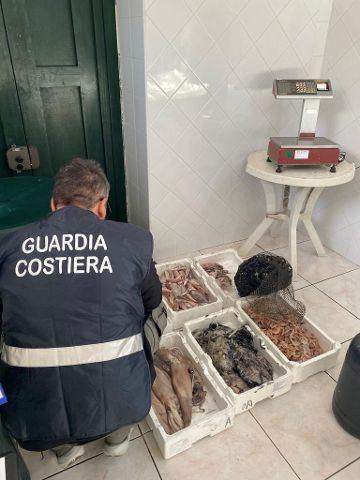 Illeciti per attività di pesca, vasta operazione della Guardia Costiera nel Cilento