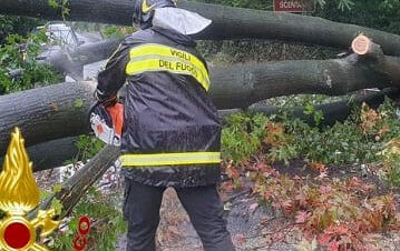 Lampioni e alberi pericolanti a Salerno, Dante Santoro: “Manutenzione urgente”
