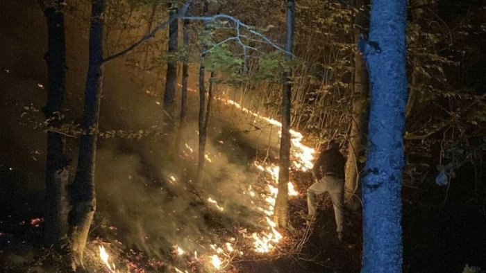 Incendio a Colliano, fiamme domate. Il grazie dell’Amministrazione