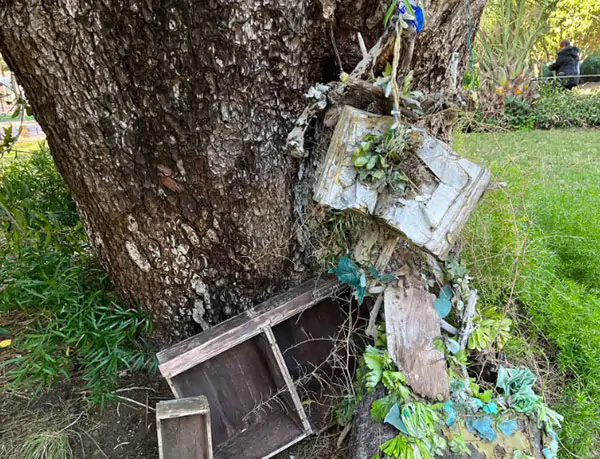 Vandali in villa comunale a Salerno, distrutto lo spazio di bookcrossing