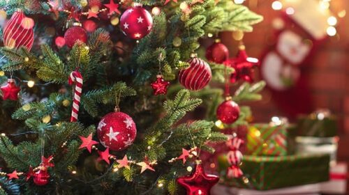 Eboli, rubato albero di Natale davanti ad un negozio
