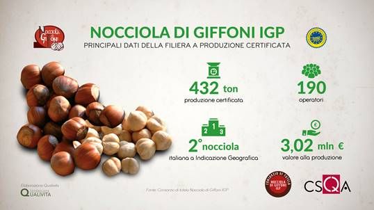 Nocciola di Giffoni Igp, nuovo sistema dei controlli per tutelare il prodotto autentico