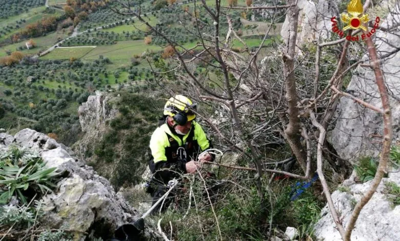 Cane nel dirupo a Caggiano salvato dai vigili del fuoco