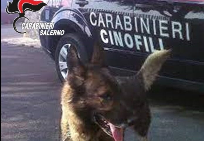 Droga e pistola a gas, scatta l’arresto a San Cipriano Picentino