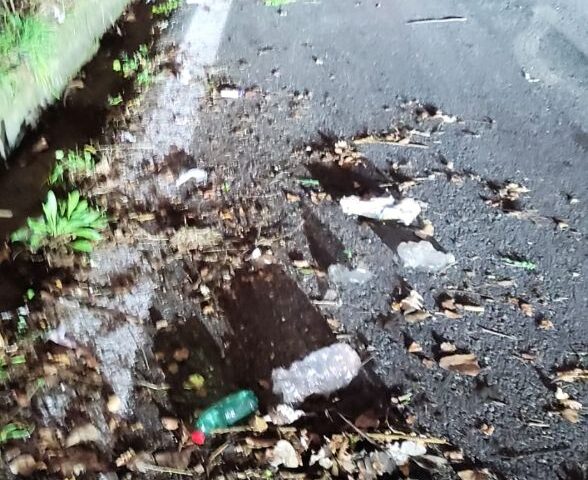 SACCHETTO SELVAGGIO IN TANGENZIALE, PULIZIA SVINCOLI VIA IRNO E RIONE PETROSINO