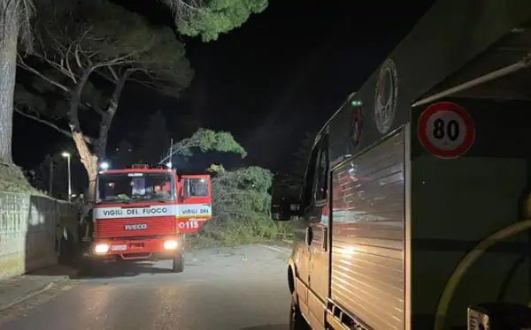 Pellezzano, disagi a Capriglia per la caduta di un albero