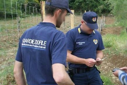 Controlli anti bracconaggio presso il Sarno e il Tanagro