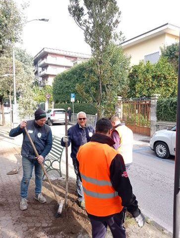 AMBIENTE: A CAVA DE’ TIRRENI 105 NUOVI ALBERI