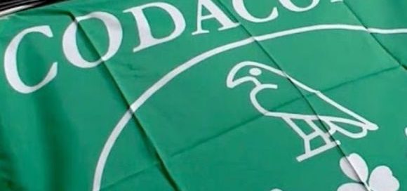 Salerno,  il Codacons denuncia “invasione di formiche nella scuola elementare”