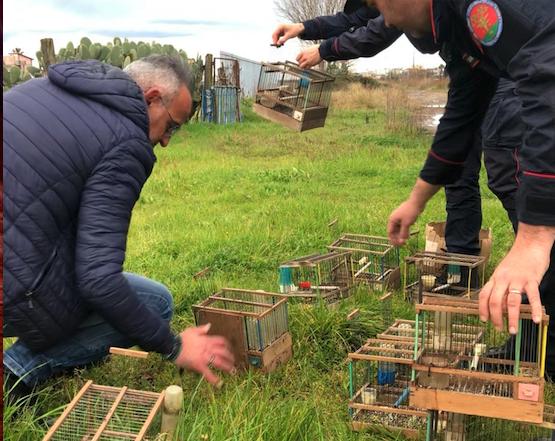 Guardie Giurate Venatorie-Zoofile del WWF: blitz a Scafati di contrasto a bracconaggio