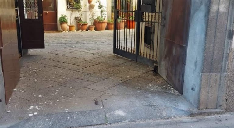 Forza Italia Salerno: “Contro il sindaco di Roccapiemonte un atto vile”