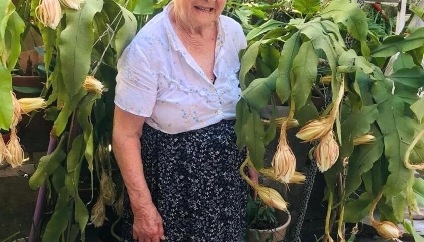 Pugliano, nonna Iolanda spegne 101 candeline