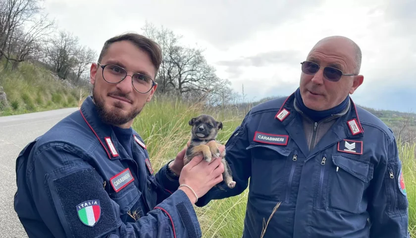 Ottati, carabinieri salvano e adottano un cane