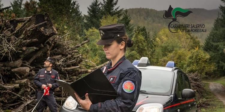 Giffoni Valle Piana, si perdono tra le montagne: salvati dalla Forestale