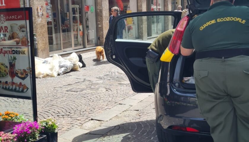 Salerno, 30 sanzioni per i furbetti dei rifiuti nel centro cittadino