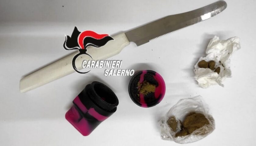 Controlli anti-droga nelle scuole: sequestrata marijuana presso l’istituto “Ancel Keys” di Castelnuovo