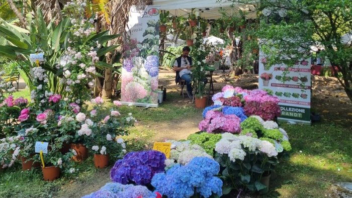 Successo per la mostra ai Giardini della Minerva