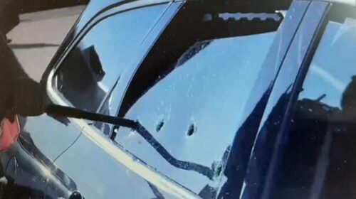 ANIMALI CHIUSI IN AUTO SOTTO AL SOLE E NECESSITÀ DI INTERVENTO